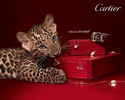 Orologi cartier usati pubblicità orologi Cartier Usati banner